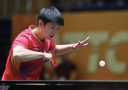 迷关注度来 迷关注度来